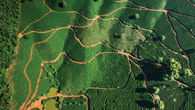 Vista aérea da Fazenda Pinhal, localizada em Cristina, região da Mantiqueira de Minas